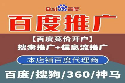 百度推广代运营案例：案例分享：打造行业领军品牌